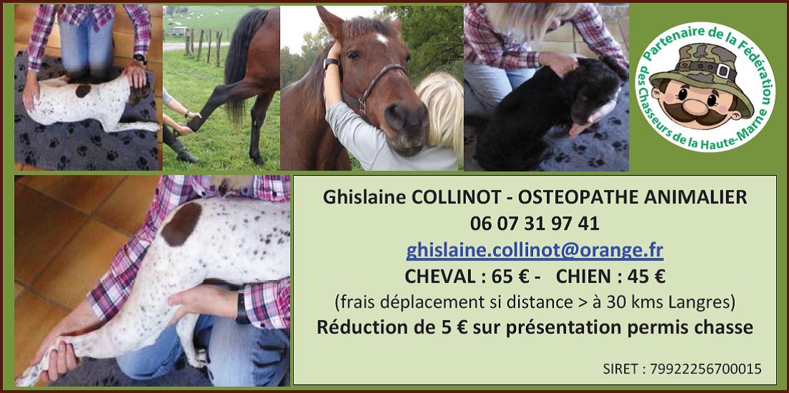 Collinot Ostéopathe